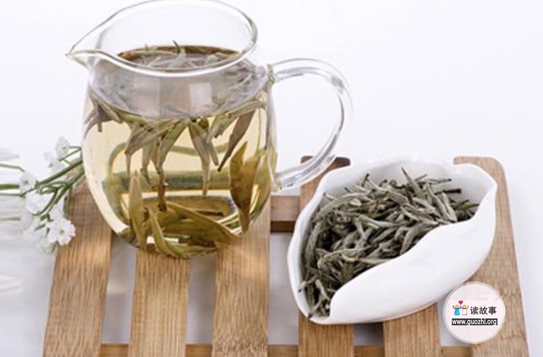 茶叶有哪些种类 每种茶都有什么特点
