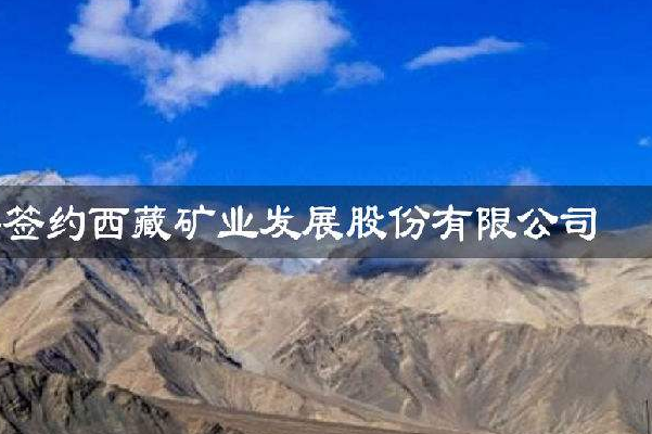 西藏振兴龙头股：西藏珠峰上榜，医药企业占半面江山